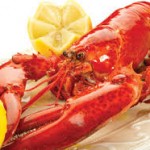 boiled lobster