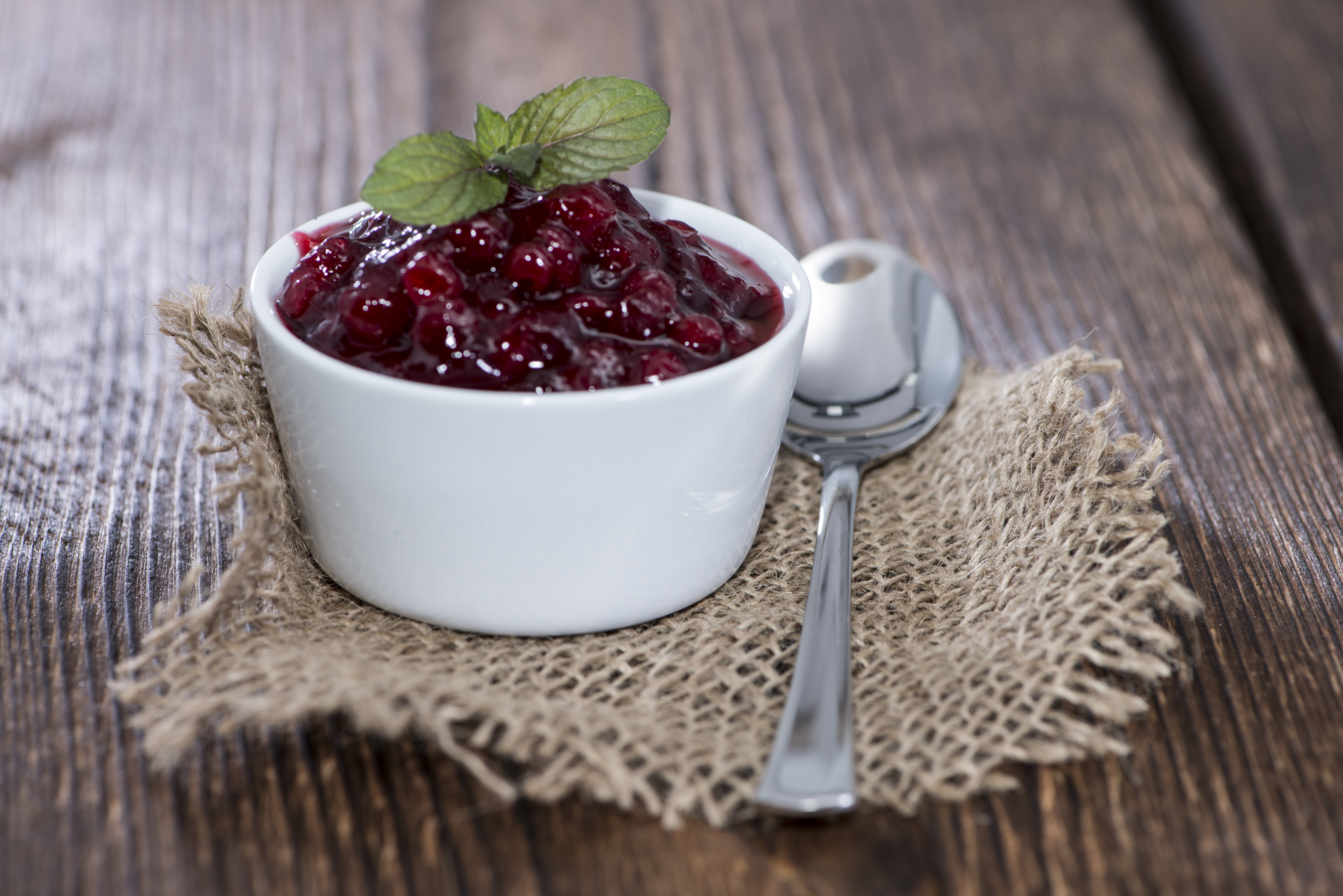 Fresh made portion of Cranberrie Sauce